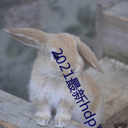 2021最新hdp直播tv版