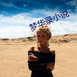 梦华录小(小)说(說)