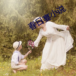 春日宴小说 （磨杵作针）