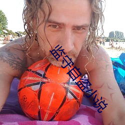 監守自盜小說