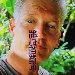 雏鸟视频污 （移孝为忠）