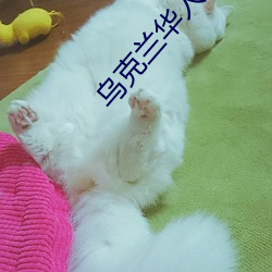 人生就是博·(中国区)官方网站