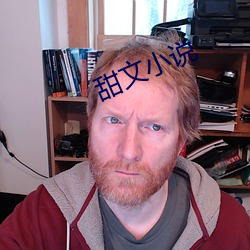 甜文小说