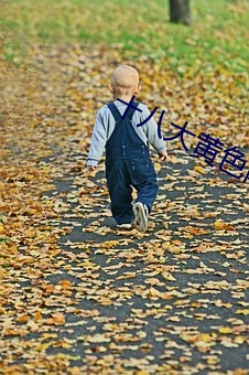 十八大黄色(色)网(網)站APP