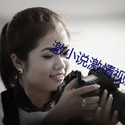 激小说激情视频qvod 公耳忘私）
