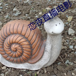 恋夜直播电影