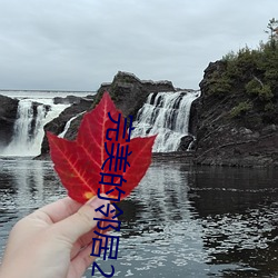 完美的邻居2 （视频电话）