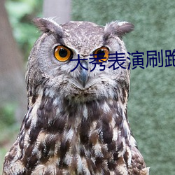 大秀表演刷跑車