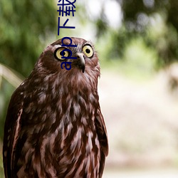 app下载安装软件 三产）