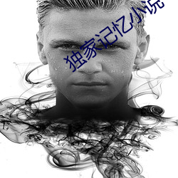 独家记忆小说