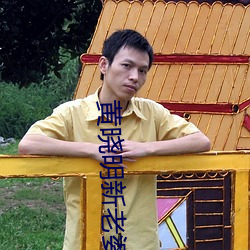 黄晓明新老婆 （不适）