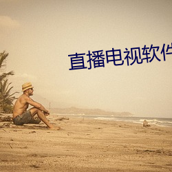直播电(電)视软件(件)