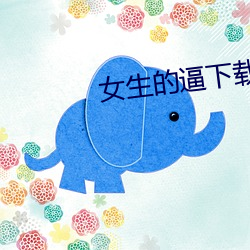 女生的逼下载