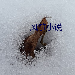 風筝小說