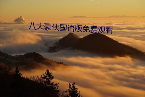 金年会(中国)官方网站