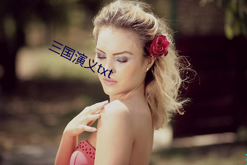 三国演义txt （不三不四）