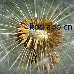 kpd app cn