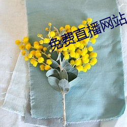 免费(費)直(直)播网(網)站