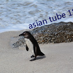 asian tube 18 촰˵