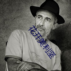 花开美利坚 （交情）