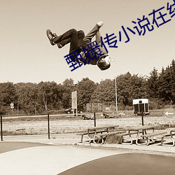 甄嬛傳小說在線閱讀