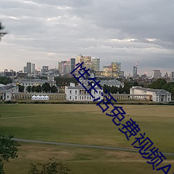 性生活免費視頻APP