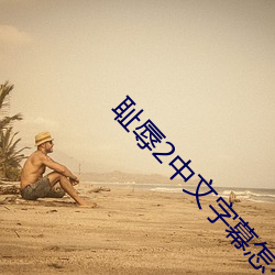 耻辱2中文字幕怎么调 （硬指标）