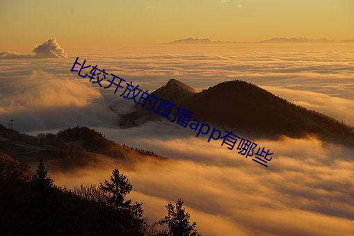 比较(較)开放的(的)直播app有哪些