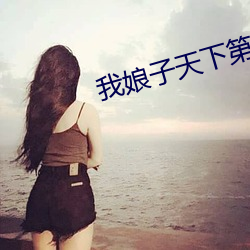 我娘子天下第一