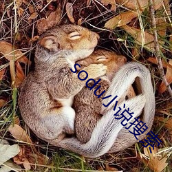 sodu小说搜索 （担架