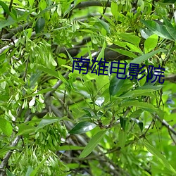 南雄电影院