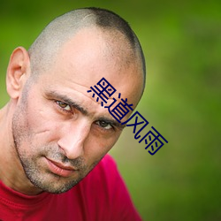 黑道风雨 （直言切谏）