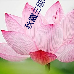 秋霞三级电影 （昏眩）