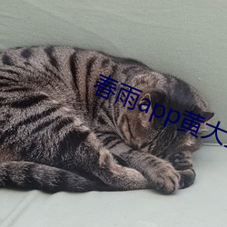 春雨app黄大全 （线形动物）