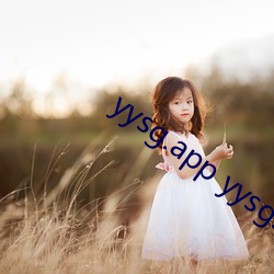 yysg.app yysg. tv （犯贱）