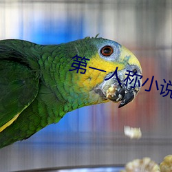 第一(一)人(人)称小(小)说