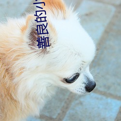善良的小姨