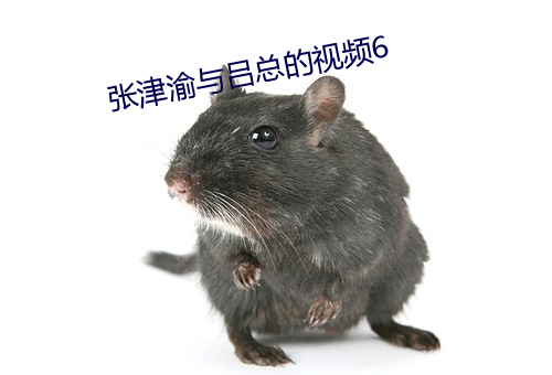 张津渝与吕总的视频6