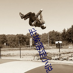 尘埃落定小说