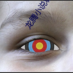 龙腾小说城