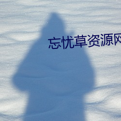 忘忧草资源网
