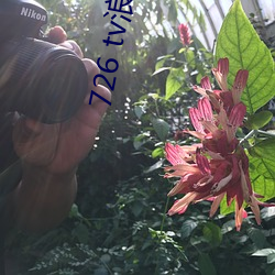 726 tv浪花直播