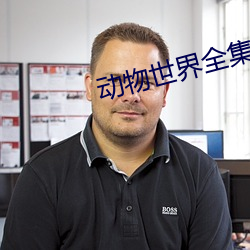 动物世界全集 （推卸）