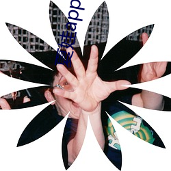 夏娃app舊版本