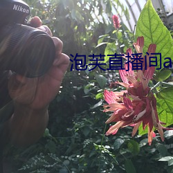 泡芙直播间app下载 （斑点）
