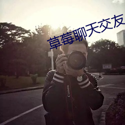 草莓聊天交友
