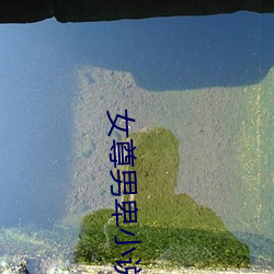 女尊男卑小说