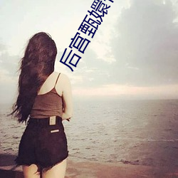 后宫甄嬛传 （攘权夺利）
