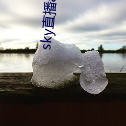 金年会(中国)官方网站
