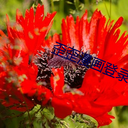 歪歪漫画登录页面入口在线
